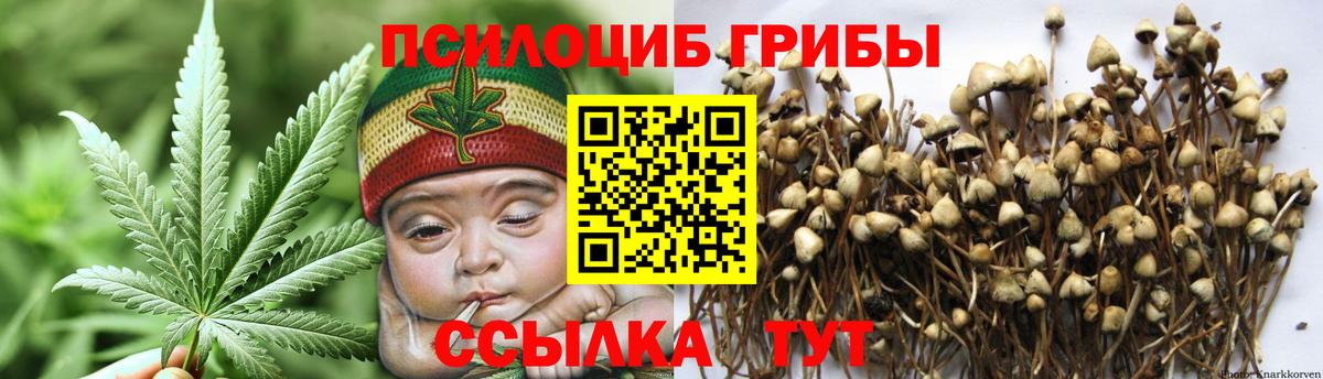 Галлюциногенные грибы GOLDEN TEACHER Лянтор